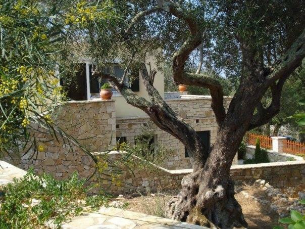 Villa Loulaki Magazia Paxi Arvanitakeika Dış mekan fotoğraf