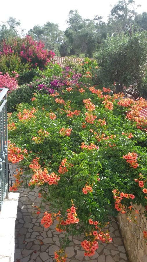 Villa Loulaki Magazia Paxi Arvanitakeika Dış mekan fotoğraf
